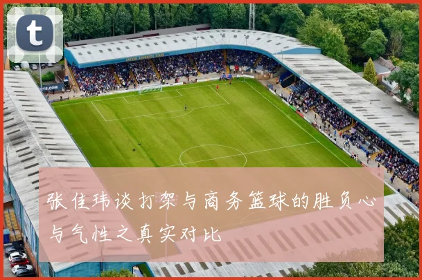 张佳玮谈打架与商务篮球的胜负心与气性之真实对比